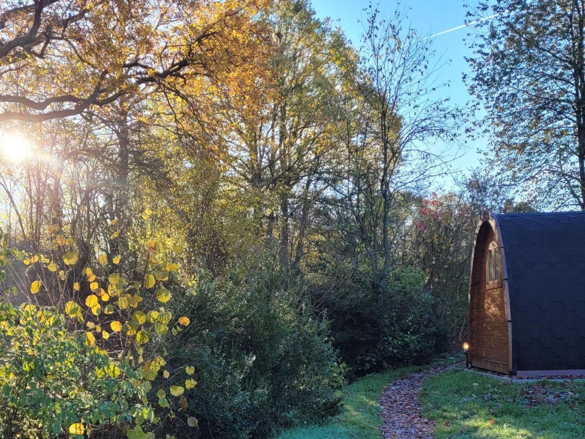 Appartamento Pods Alte Schule Elchweiler Esterno foto