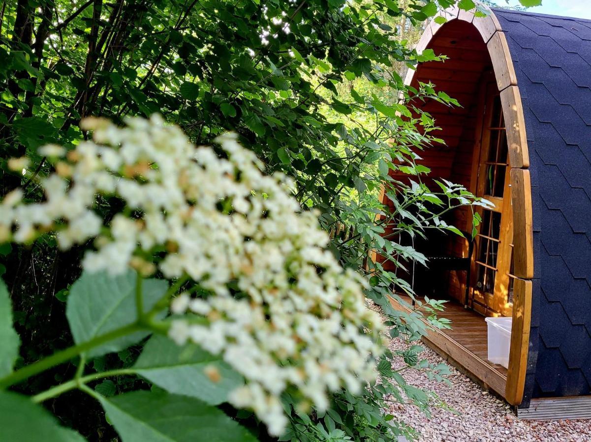 Appartamento Pods Alte Schule Elchweiler Esterno foto